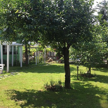 Villa Elmar Naousa Dış mekan fotoğraf